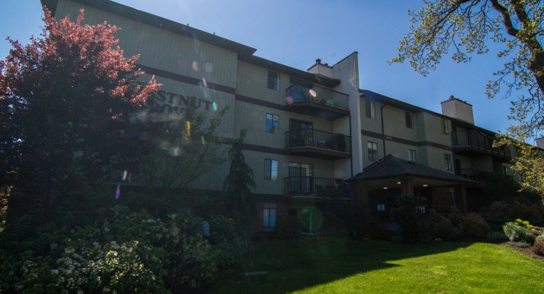 1655, Begbie Street, Victoria, Canada, 2 Bedrooms Bedrooms, ,1 BathroomBathrooms,Condo,Sold,Chestnut Grove,Begbie Street,1,1051 1655, Begbie Street, Victoria, Canada, 2 Bedrooms Bedrooms, ,1 BathroomBathrooms,Condo,Sold,Chestnut Grove,Begbie Street,1,1051
