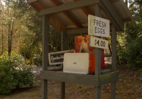 2422/2438 Benko Road, Mill Bay, bc Canada, V0R 2P4, 5 Bedrooms Bedrooms, ,4 BathroomsBathrooms,House (Detached),Sold,1067